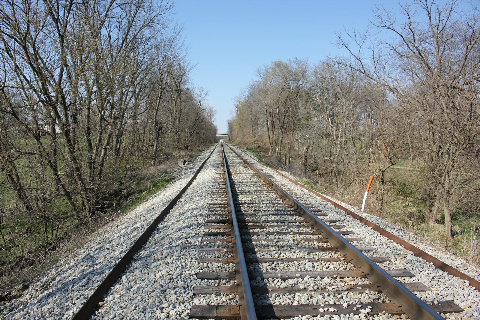 Looking north